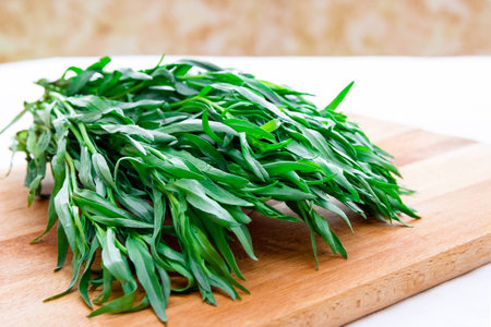 Bunch of fresh tarragon on a wooden boardの写真素材