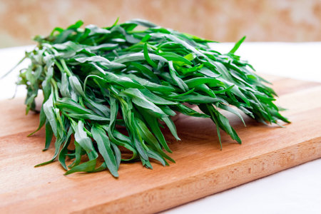 Bunch of fresh tarragon on a wooden boardの写真素材