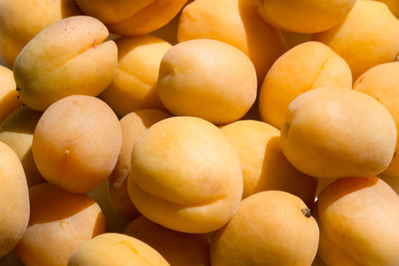 Fresh apricots as backgroundの写真素材