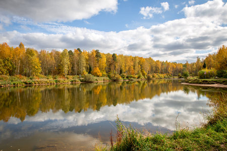 Orange autumn forest reflected in lake and blue sky with white cloudsの写真素材