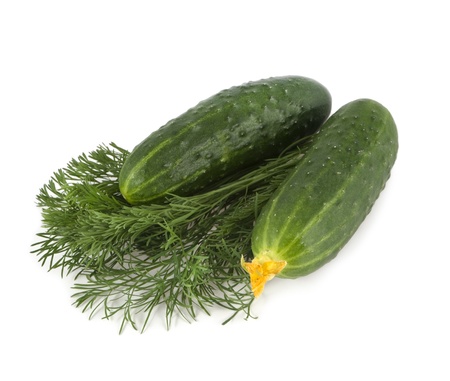 
cucumbers lie on parsleyの写真素材