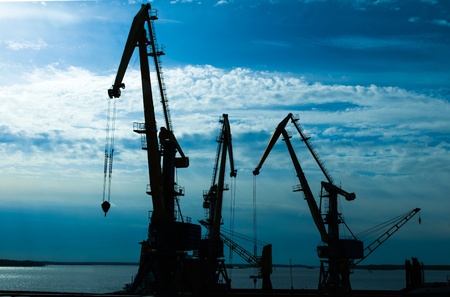 cranes in the Harbor at sunset