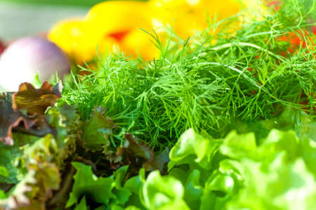 dill and lettuce closeup