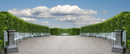 item Park with smoothly trimmed bushes and benches set in a semicircleの写真素材