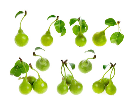 Set  green pear with leaves isolatedの写真素材
