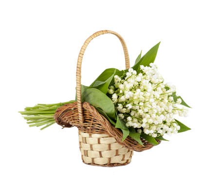 bouquet of lilies of the valley in the basket isolatedの写真素材