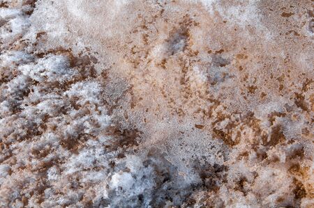 abstract background frost on the sand