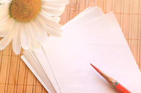 Red pencil on a stack of paper with chamomile in the corner photoの写真素材