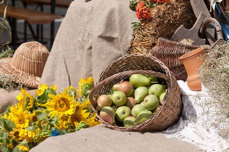 still life basket with pears on burlap and sunflowersの写真素材