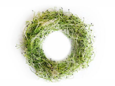 sprouted onion seeds round wreath, top view, isolated on whiteの写真素材