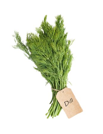 fresh bunch of dill with a yellow tag isolated on a white background,の写真素材