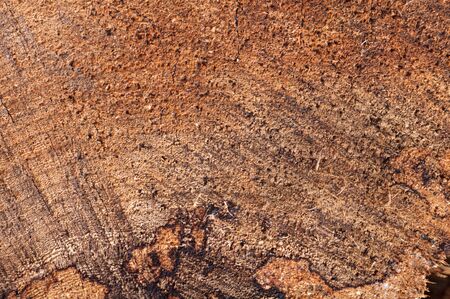background texture wooden old wood