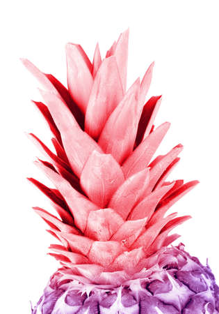 pineapple portrait, pineapple pink and purple color isolated on white backgroundの写真素材