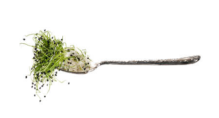 sprouted onion seeds on a fork, healthy food, isolated on white backgroundの写真素材