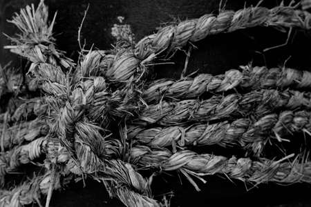 Black and white shot with marine rope and knot