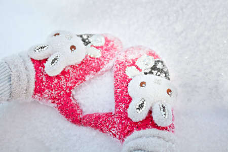 Hands in red mitten with white rabbits on snow background の写真素材
