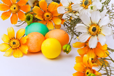 Colorful easter eggs and flowers on white backgroundの写真素材