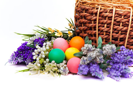Colorful easter eggs and flowers on white backgroundの写真素材