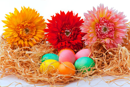 Colorful easter eggs and flowers on white background