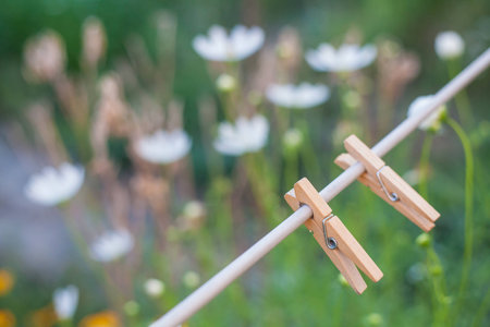 clothes peg in garden on flower backgroundの写真素材
