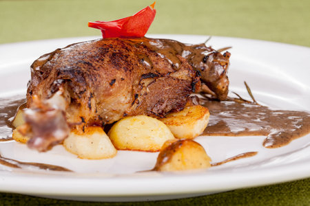 roasted piece of meat with sauceの写真素材