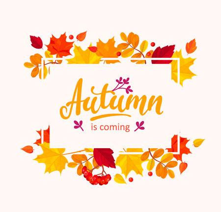 Autumn is coming banner with autumn leaves frame.のイラスト素材