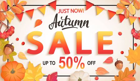Banner for Autumn sale, 50 percent discount with seasonal fall leaves, rowan, pumpkin, acorn, flags for shopping promotions,prints,flyers,invitations, special offer poster.Top view.Vector illustrationのイラスト素材