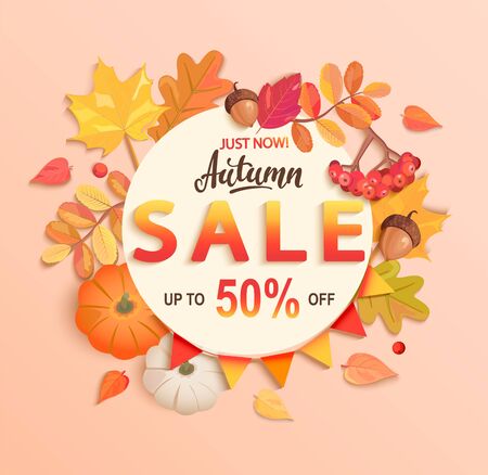 Autumn sale banner, up to 50 percent off, discount card in circle frame from seasonal fall leaves,rowan, pumpkin,acorn for shopping promotions,prints,flyers,invitations, special offer poster.Top view.のイラスト素材