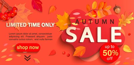 Autumn sale banner with place for text, only limited time discounts. Fall leaves, rowan berries, acorns for seasonal shopping promotion, web, flyers. Template for cards, advertise.Vector illustration.のイラスト素材