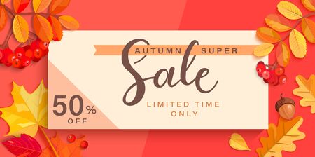 Autumn super sale banner with fall elements.Big discounts limited time only with colorful leaf,rowan berries,acorns,pumpkin for seasonal shopping promotion,web,flyers.Template for cards,ad.Vectorのイラスト素材