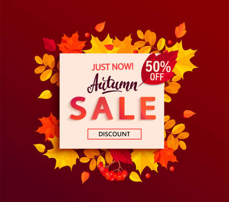 Autumn sale banner with square frame and colorful fall leaves, rowan berries, acorns for seasonal shopping promotion,web. Template for discount cards, flyers, posters, advertise. Vector illustration.のイラスト素材