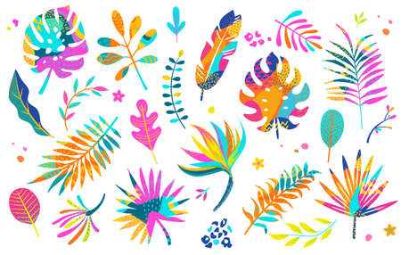 Set of different tropical isolated bright leaves.のイラスト素材