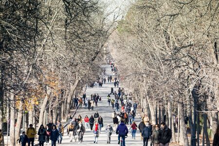 MADRID, SPAIN. JAN 2020: People walking among trees in Parque del Retiro on a winter and sunny public holidayのeditorial素材