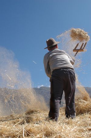 Farmer working with cereals