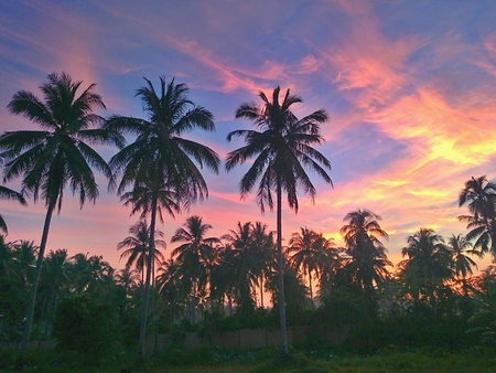 Sunrise  Bachok Kelantanの素材