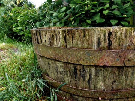 Old barrelの写真素材