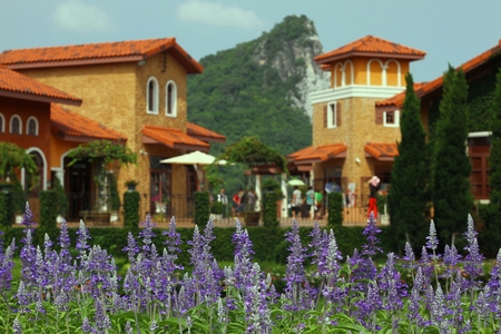 Silverlake Vinneyard,Chon Buri,Thailandの写真素材