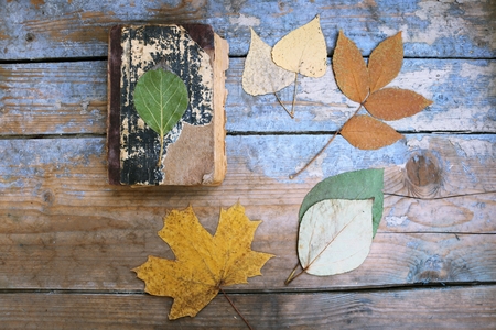 Vintage books and autumn leaves on wooden desk