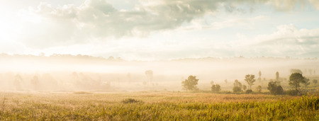 Scenic panoramic landscape. Golden sunrise shines down around the grassland. Spring season. Mountain and golden mist background. Thailand.の写真素材