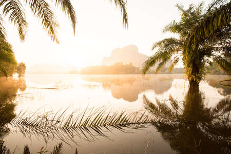 Sunrise shines down around the lake and palm trees. Spring season. Mountain and golden water reflections background. Krabi Province, Thailand.の写真素材