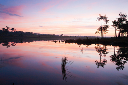 Fantastic clouds and sunset sky. Peaceful time. Colorful sky reflecting in the lake. Sedge in the lake foreground, pine forest background. Silhouette. Summer is coming. Phu Kradueng National Park. Thailand. Copy Space.の写真素材