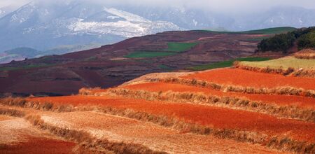 Colorful scenic landscape of Red Land at sunrise, snow mountains and clouds backgrounds. The sun shines down around terraced wheat fields. Fantastic scenery of Dongchuan, Kunming, China. Spring season. Bright sunlight. Background, Texture.の写真素材