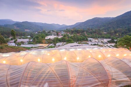 Beautiful view of greenhouse in tropical forest at twilight. Flower plants growing inside greenhouse. Organic greenhouse. Chiang Mai, Thailand. Colorful clouds and sky. Shallow dept of field.の写真素材