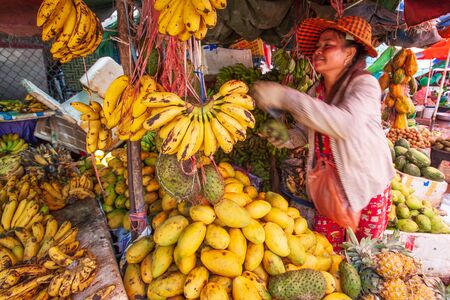 Koh Kong, Cambodia %u2013 MARCH 10, 2011: Vendor Khmer woman selling bananas is ripe, mangoes and other tropical fruits at the local wet market. Koh Kong Province.のeditorial素材