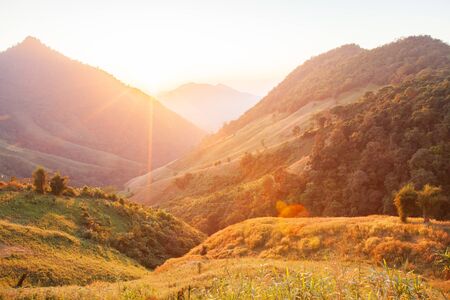 Beautiful time. Bright and colorful scenic landscape. Golden sunlight shines down around the...
