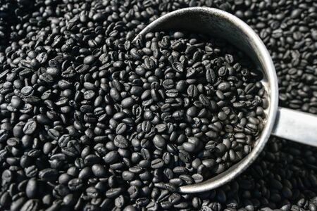 Freshly roasted aromatic robusta coffee beans in silver scoop on coffee beans ground. Organic coffee. Local product of Krabi, Thailand. Top view, close-up. Selective focus. Low key. Backgrounds, Texture for text.の写真素材