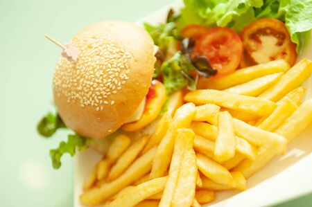 Retro vintage style, Hamburger with french fries on white plate, blurred green background.