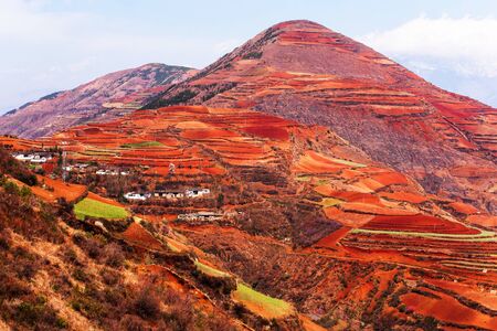 Stunning scenery landscape of wheat terraces and ancient village on the high mountains, fantastic view of the âRed Landâ of Dongchuan, China, bright sunrise shines on the terracing and snow mountains backdrop.の写真素材