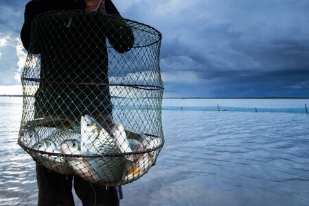Thai fisherman standing in a lake while holding a shoal of big Common Silver barb in a fish net, storm over the lake background. Food culture concept.の写真素材