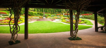 A tranquil botanical garden with blooming colorful flowers in summer.